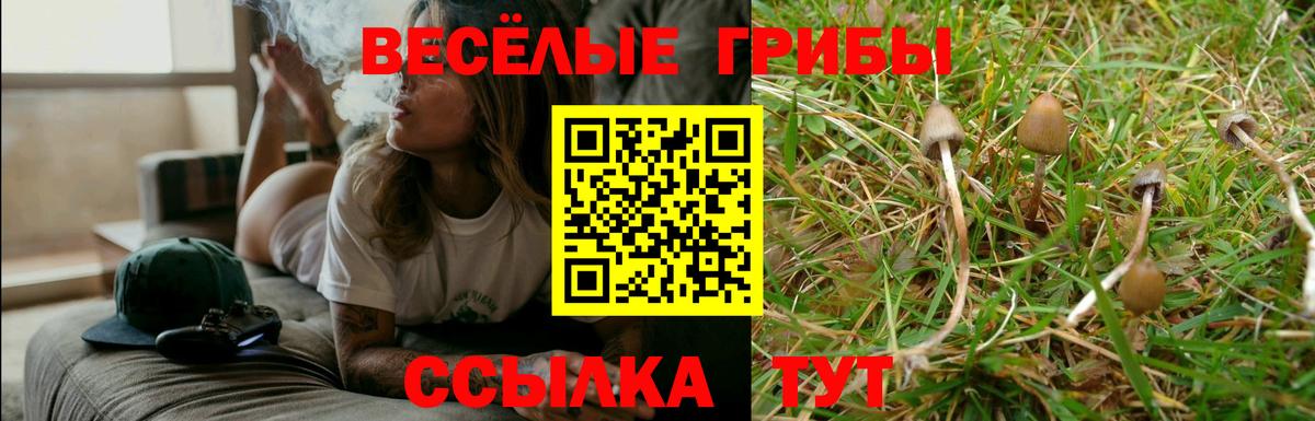 Псилоцибиновые грибы Magic Shrooms Мурино